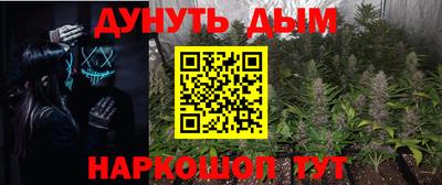 прущие крисы Ставрополь