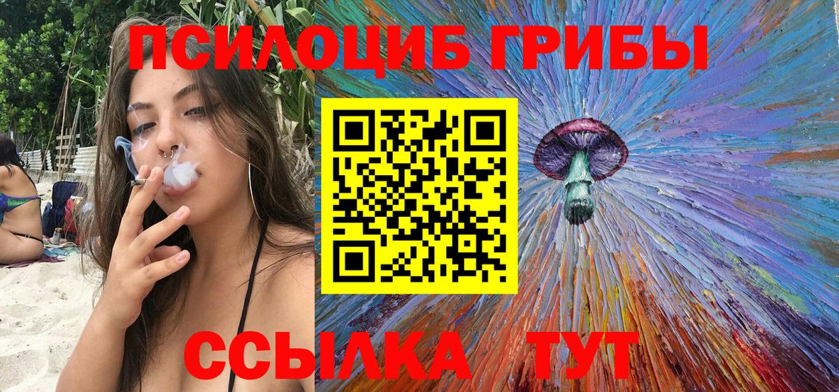 Баксан  Галлюциногенные грибы мицелий  Вход с VPN 