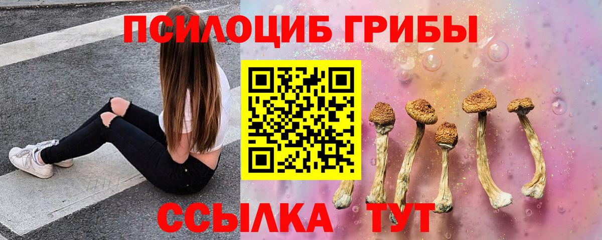 Галлюциногенные грибы ЛСД Баксан
